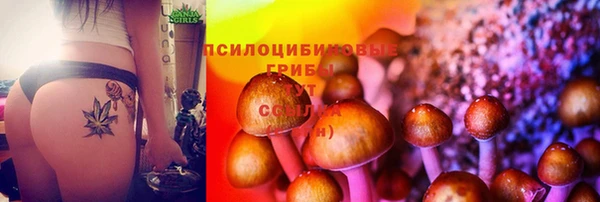 шишки Балабаново