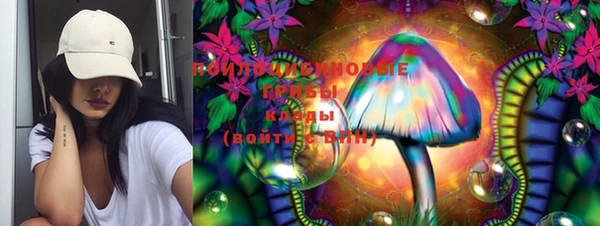 шишки Балабаново