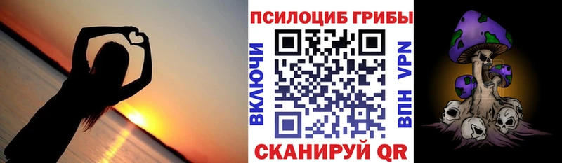 Псилоцибиновые грибы мухоморы  магазин  наркотиков  Ленинск 